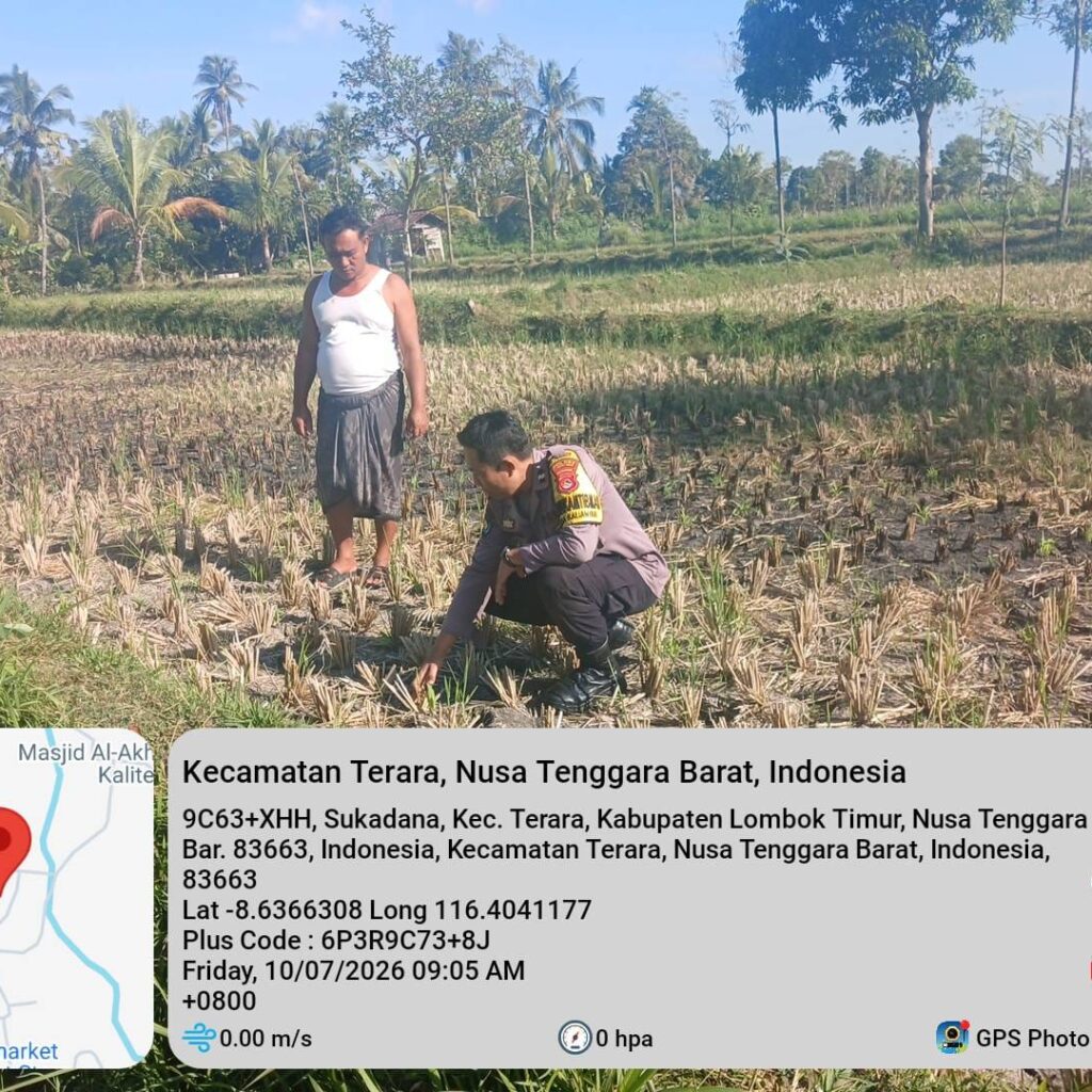 Bhabinkamtibmas Desa Kalianyar Jalin Silaturahmi dengan Ketua Kelompok Tani Suka Karya II dan Cek Perkembangan Tanaman Jagung Warga