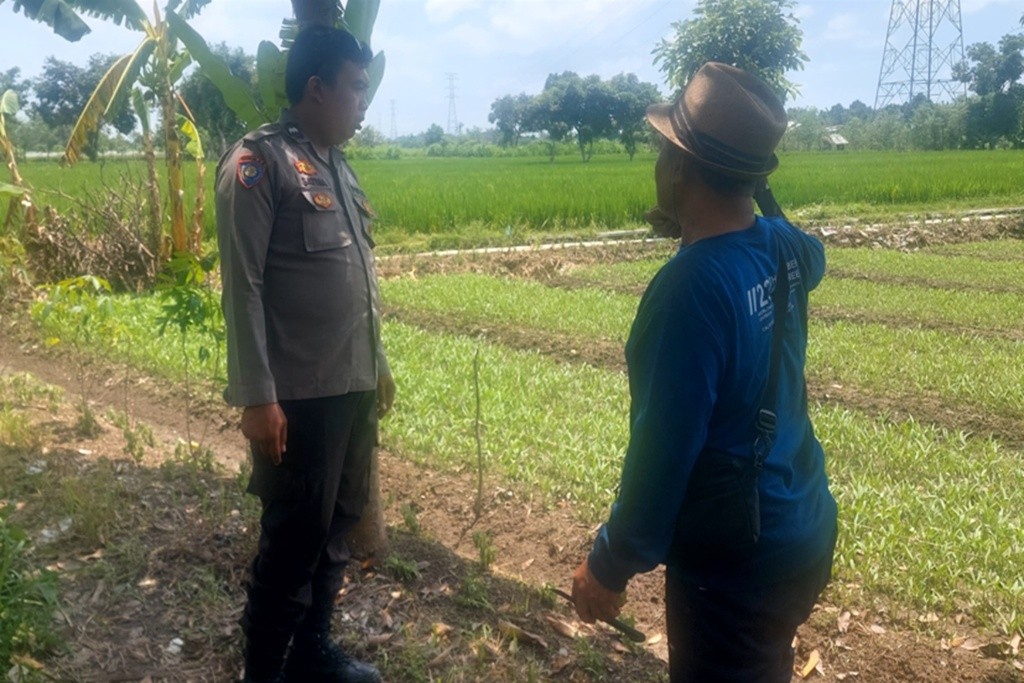 Kawal Ketahanan Pangan, Polsek Labuapi Edukasi Petani Telagawaru