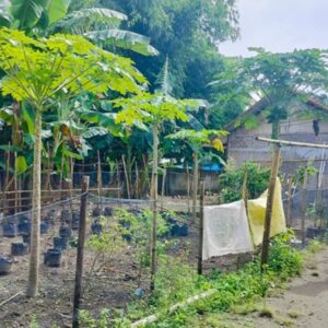 Bhabinkamtibmas Lombok Barat Dorong Warga Manfaatkan Lahan Terbatas