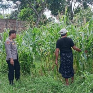 Bhabinkamtibmas Karang Bongkot Kawal Ketahanan Pangan Nasional