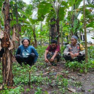 Bhabinkamtibmas Desa Bengkaung Edukasi Petani Optimalkan Lahan Produktif