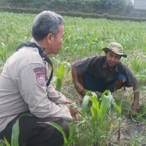 Dukung Swasembada Pangan, Polsek Batulayar Ajak Warga Lombok Barat Manfaatkan Lahan Pekarangan