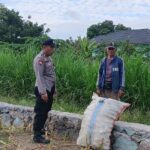 Aksi Nyata Polsek Labuapi Kawal Kedaulatan Pangan, Borong Semangat Petani di Sawah