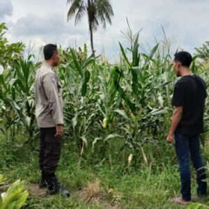 Polsek Labuapi Dampingi Petani Lokal Perkuat Ketahanan Pangan Desa