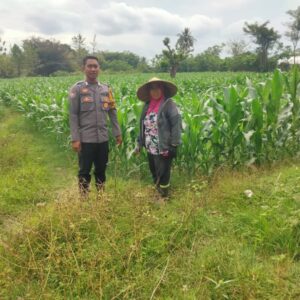 Perkuat Ketahanan Pangan Nasional, Bhabinkamtibmas Desa Mokong Sambangi Petani di Dusun Pelita