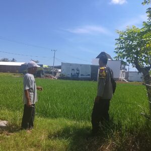 Dukung Ketahanan Pangan, Bhabinkamtibmas Desa Pelat Motivasi Petani Padi Optimalkan Lahan