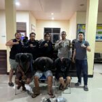 Tim Puma Polres Sumbawa Bersama Polsek Alas Ringkus Tiga Pelaku Pencurian di Toko Bangunan