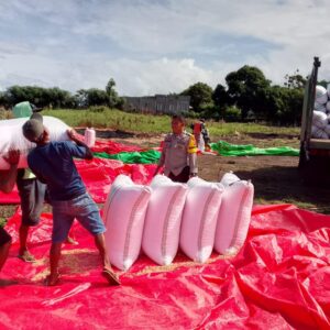 BHABINKAMTIBMAS POLSEK PEKAT KAWAL AKTIVITAS PANEN JAGUNG, DORONG PETANI KELOLA HASIL PANEN DAN MANFAATKAN PEKARANGAN