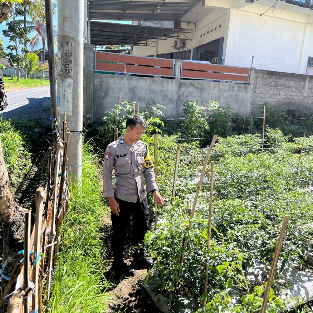 Bhabinkamtibmas Desa Kumbang Perkuat Ketahanan Pangan Lewat Sambang Warga dan Monitoring Lahan Pertanian