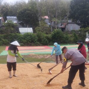 Bhabinkamtibmas Polsek Kempo Bantu Warga Jemur Jagung, Dorong Penjualan Hasil Panen ke Bulog dan Pemanfaatan Pekarangan