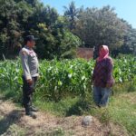 Dukung Pangan Bergizi, Bhabinkamtibmas Desa Labuhan Burung Ajak Warga Optimalkan Lahan Produktif