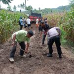 Gotong Royong Bangun Jalan Ekonomi, Bhabinkamtibmas Desa Dorebara Dorong Peningkatan Kesejahteraan Petani