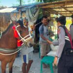 Patroli KRYD Humanis, Satsamapta Polres Bima Kabupaten Imbau Warga Jaga Kondusifitas Kamtibmas dan Bantu Angkat Padi Petani