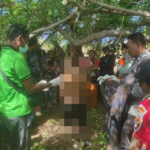 Gegerkan Warga Lape, Seorang Petani Ditemukan Meninggal Dunia karena Gantung Diri di Areal Ladang