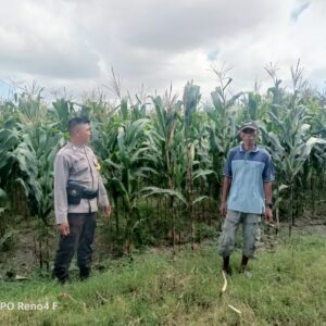 Dukung Ketahanan Pangan, Bhabinkamtibmas Desa Usar Tinjau Tanaman Warga dan Ajak Manfaatkan Pekarangan
