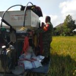 Babinsa Midang Dampingi Panen Padi, Semangat Petani Kian Menguat