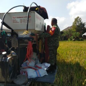 Babinsa Midang Dampingi Panen Padi, Semangat Petani Kian Menguat