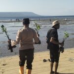 Wakapolsek Moyo Hilir Hadiri Penanaman Pohon Mangrove dan Apel Gladi Kesiapsiagaan Bencana di Pungkit