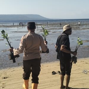 Wakapolsek Moyo Hilir Hadiri Penanaman Pohon Mangrove dan Apel Gladi Kesiapsiagaan Bencana di Pungkit