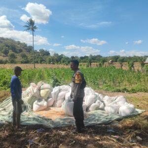 Dukung Ketahanan Pangan Nasional, Bhabinkamtibmas Desa Moyo Mekar Tinjau Tanaman Jagung dan Motivasi Petani