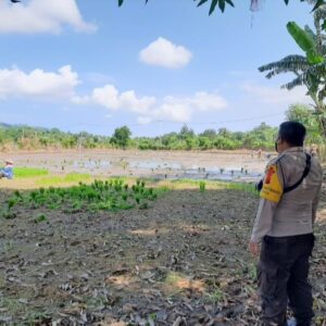 Tinjau Lahan Petani di Desa Moyo, Bhabinkamtibmas Gali Kendala Pertanian Demi Sukseskan Ketahanan Pangan