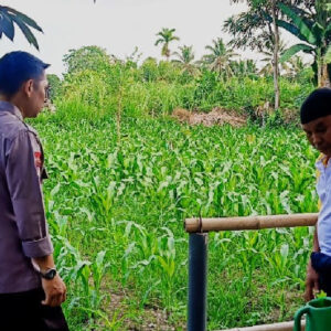 Bhabinkamtibmas Desa Masbagik Timur Monitoring Lahan Jagung, Perkuat Ketahanan Pangan dan Ajak Warga Jaga Kamtibmas