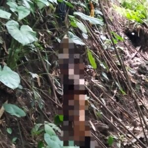 Polresta Loteng Olah TKP Penemuan Mayat Tergantung di Kawasan Hutan BKU. ‎