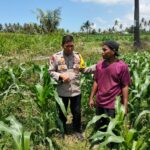 Bhabinkamtibmas Desa Bagik Papan Cek Tanaman Jagung Warga, Dukung Ketahanan Pangan dan Sampaikan Imbauan Kamtibmas
