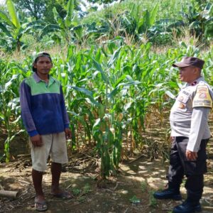 Dukung Ketahanan Pangan Nasional, Polsek Gerung Dampingi Petani di Lombok Barat