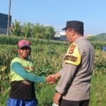 Dukung Ketahanan Pangan, Polsek Labuapi Turun Tangan Dampingi Petani di Desa Karang Bongkot