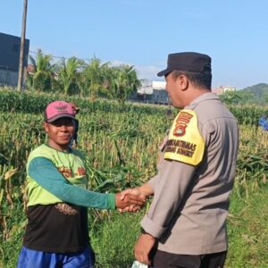 Dukung Ketahanan Pangan, Polsek Labuapi Turun Tangan Dampingi Petani di Desa Karang Bongkot