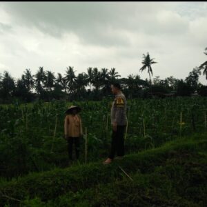 Bhabinkamtibmas Desa Masbagik Selatan Cek Lahan P2B, Dorong Ketahanan Pangan dan Kesejahteraan Masyarakat