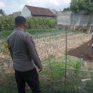 Bhabinkamtibmas Masbagik Utara Baru Sambangi Warga, Monitoring Ketahanan Pangan dan Ajak Masyarakat Jaga Kamtibmas