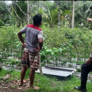 Bhabinkamtibmas Desa Kumbang Monitoring Ketahanan Pangan dan Ajak Masyarakat Jaga Kamtibmas