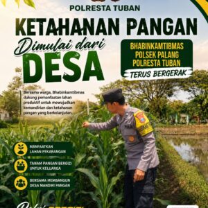 Dukung Astacita, Polsek Palang Polresta Tuban Pantau Langsung Lahan Jagung milik warga Desa Dawung