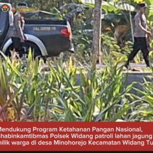 Mendukung Program Ketahanan Pangan, Polsek Widang Patroli Kawasan Lahan Pertanian Jagung