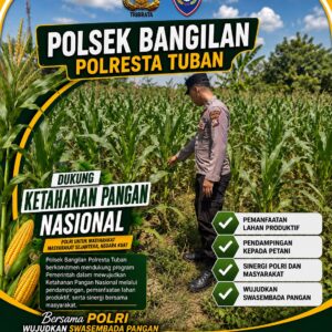 BHABINKAMTIBMAS POLSEK BANGILAN LAKSANAKAN MONITORING TANAMAN JAGUNG DALAM RANGKA MENDUKUNG KETAHANAN PANGAN NASIONAL