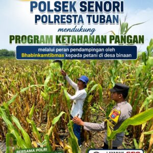 Dalam Rangka Mendukung Ketahanan Pangan Nasional Anggota Bhabinkamtibmas Polsek Senori Polresta Tuban Monitoring Kondisi Tanaman Jagung di Desa Wanglukulon