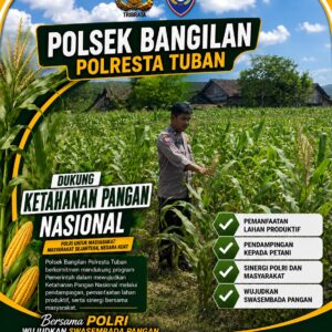 POLSEK BANGILAN MONITORING KETAHANAN PANGAN TANAMAN JAGUNG
