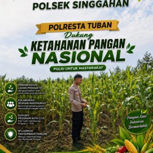 Polsek Singgahan Polresta Tuban Turun Cek Tanaman jagung Warga di Desa Binangun