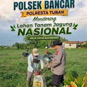 Perkuat Ketahanan Pangan, Bhabinkamtibmas Polsek Bancar Monitoring Lahan Tanam Jagung di Desa Cingklung