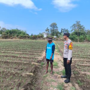 Dukung Ketahanan Pangan Nasional, Bhabinkamtibmas Desa Suka Damai Sambangi Petani Cabai dan Dorong Pemanfaatan Pekarangan