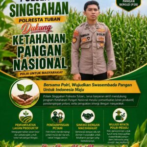 Polsek Singgahan Polresta Tuban Turun Cek Tanaman jagung Warga di Desa Tingkis