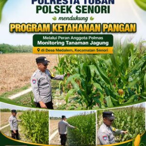 Mendukung Program Ketahanan Pangan Nasional Anggota Polmas Polsek Senori Polresta Tuban Memantau Tanaman Jagung Milik Warga Desa Medalem