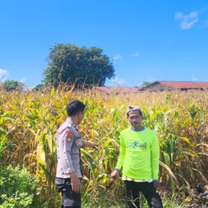Dukung Ketahanan Pangan Nasional, Bhabinkamtibmas Desa Suka Mulya Sambangi Petani dan Dorong Persiapan Tanam Jagung