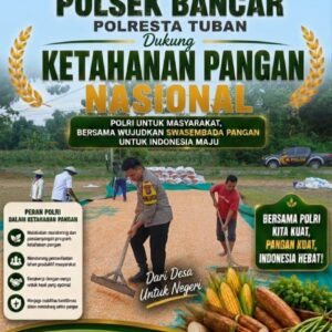 Bripda Dodi Eko Anggota Polsek Bancar Turun ke Ladang, Bantu Warga Jemur Hasil Panen Jagung