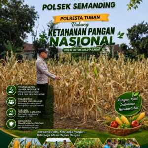 Polri Dukung Astacita, Polsek Semanding Polresta Tuban Turun Cek Tanaman jagung milik Warga di Desa Ngino
