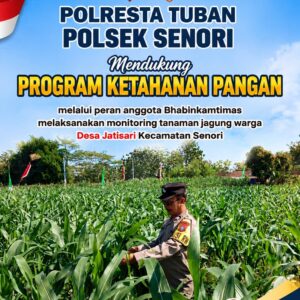 Polisi RW Polsek Senori Polresta Tuban Monitoring Tanaman Jagung Milik Warga Desa Medalem Guna Mendukung Program Ketahanan Pangan