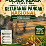 “Polsek Kerek Polresta Tuban Pantau Proses Pengeringan dan Penyimpanan Jagung, Dukung Ketahanan Pangan”