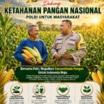Polsek Plumpang Polresta Tuban Turun Langsung Cek Tanaman Jagung Warga